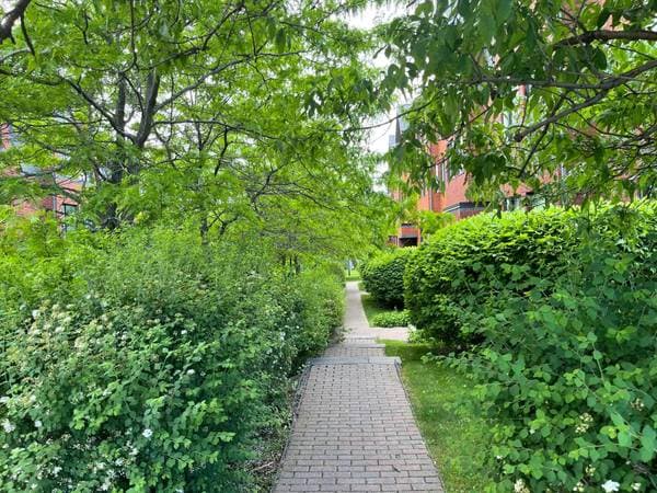 801 Rue Gameroff #1, Montréal (Lachine) — photo 31