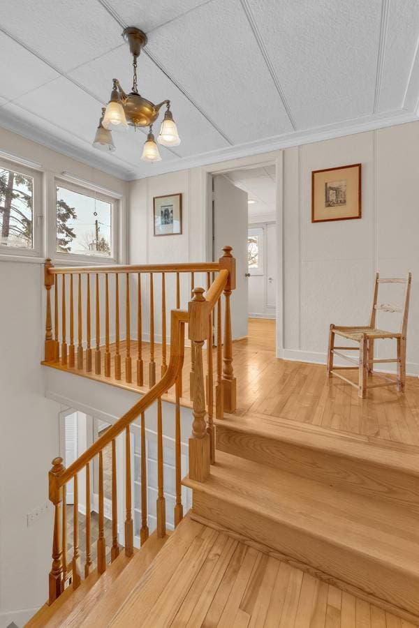 22 Av. Coolbreeze, Pointe-Claire — photo 17