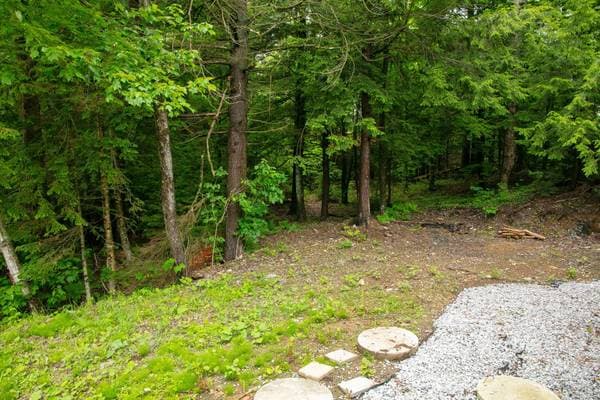 35 Rue de la Digue, Sherbrooke (Brompton/Rock Forest/Saint-Élie/Deauville) — photo 6