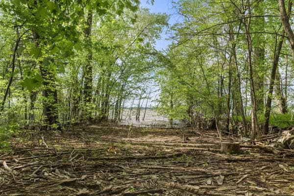 28 Crois. Barabé, Montréal (L'Île-Bizard/Sainte-Geneviève) — photo 42