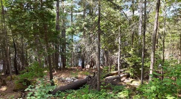 4019 Ch. du Boom-Camp, Témiscaming — photo 18