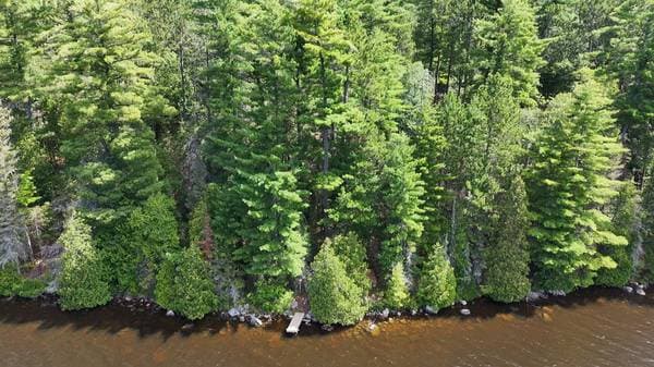 4019 Ch. du Boom-Camp, Témiscaming — photo 4