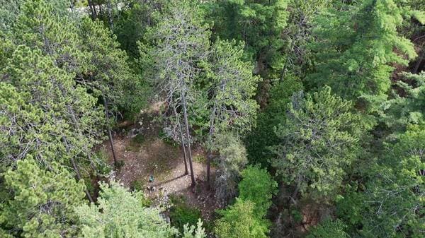 4019 Ch. du Boom-Camp, Témiscaming — photo 8