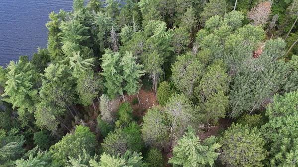 4019 Ch. du Boom-Camp, Témiscaming — photo 10