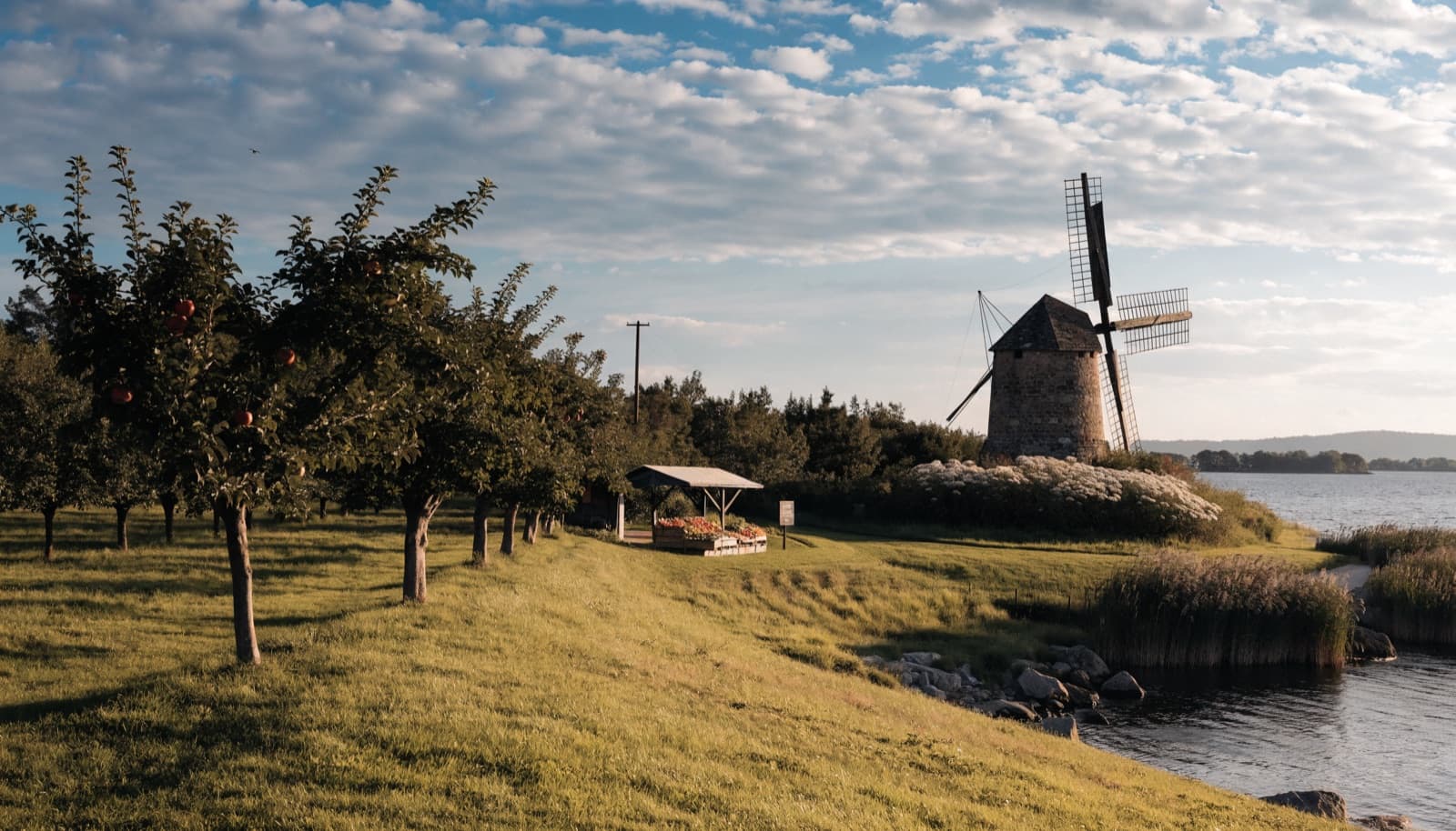 Notre-Dame-de-l'Île-Perrot — neighbourhood view