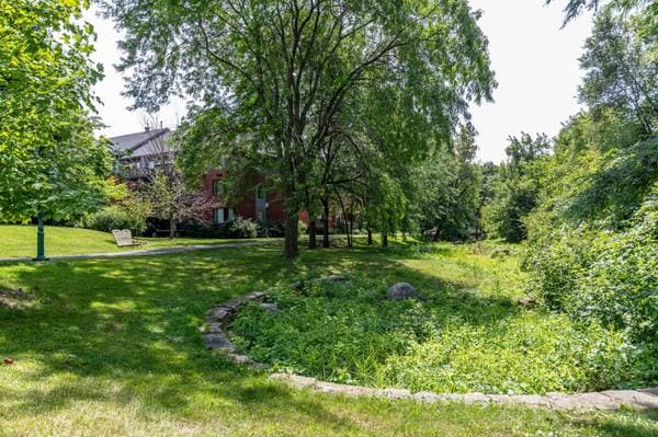801 Rue Gameroff #1, Montréal (Lachine) — photo 29