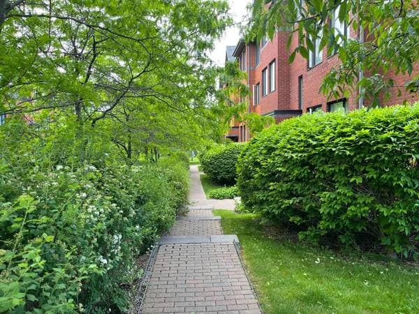 801 Rue Gameroff #1, Montréal (Lachine) — photo 30