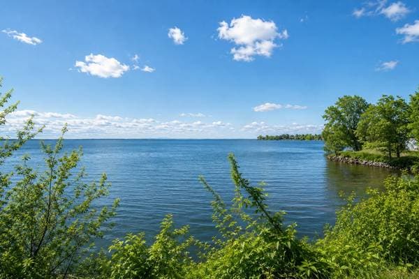 65 Ch. du Bord-du-Lac-Lakeshore, Pointe-Claire — photo 47
