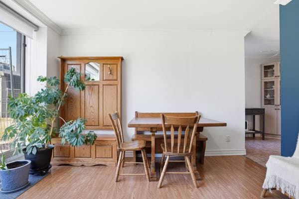285 Rue Laurier #106, Gatineau (Hull) — photo 15